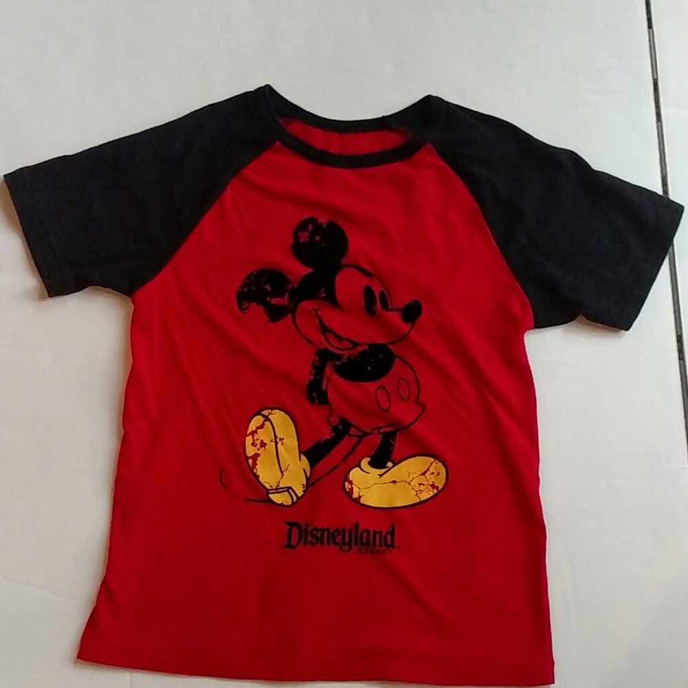 Disney Parks T-shirt